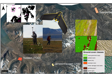 Drone-based mapping of changed vegetation